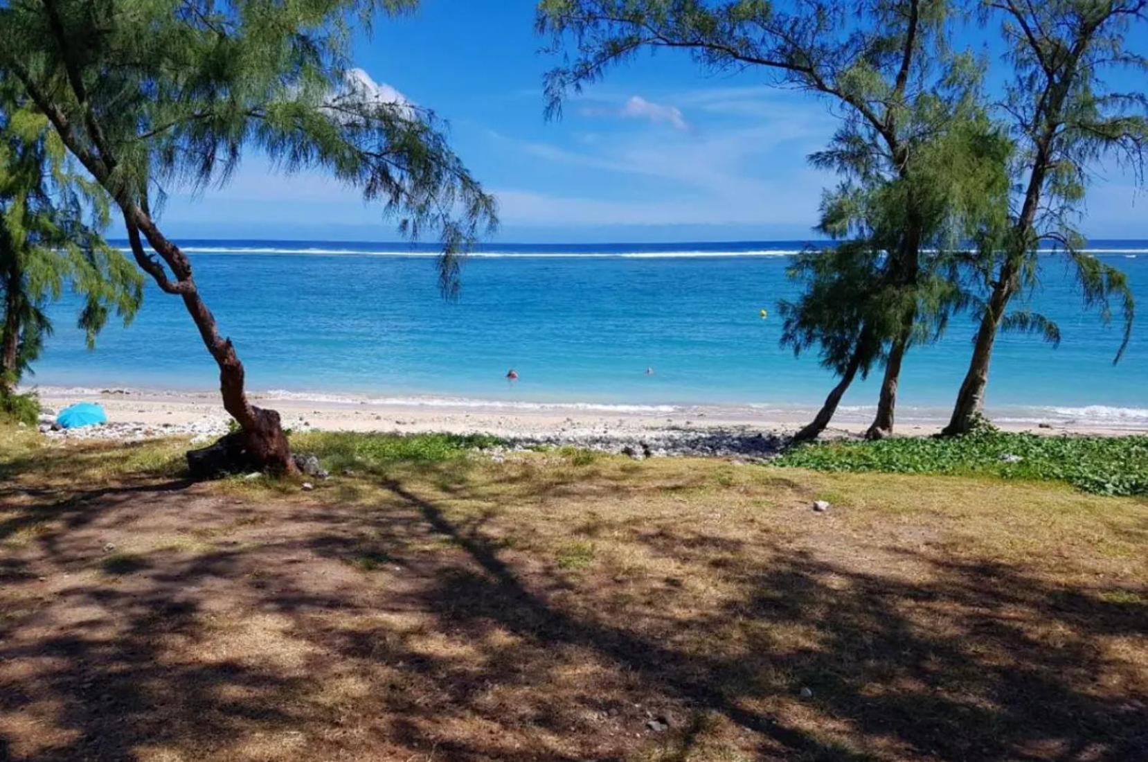 Le Tamarin Bleu - Studio A 300 M De La Plage Ла Салин ла Ба Екстериор снимка